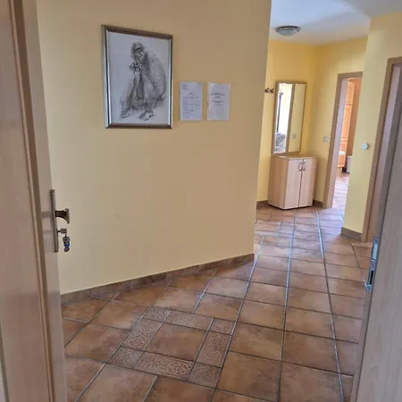 And Mamic Guest house 3*